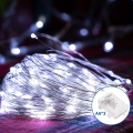 Aigostar - Cadena LED navideña exterior 100xLED/8 funciones 10,3m IP44 blanco frío