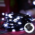 Aigostar - Cadena LED navideña exterior 100xLED/8 funciones 10,3m IP44 blanco frío