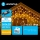 Aigostar - Cadena LED navideña exterior 200xLED/8 funciones 13x0,6m IP44 blanco cálido