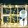 Aigostar - Cadena solar LED 100xLED/12m IP65 blanco cálido Eucalyptus