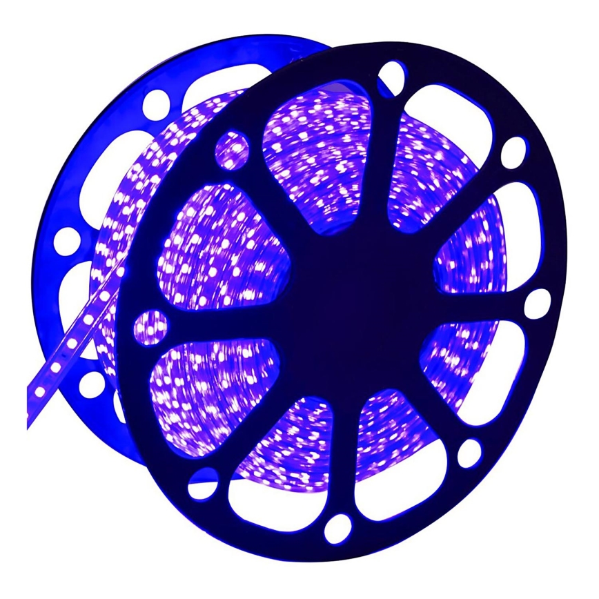 Aigostar - Cinta LED exterior 50m LED/300W/230V azul IP65