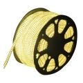 Aigostar - Cinta LED exterior 50m LED/350W/230V 3000K IP65
