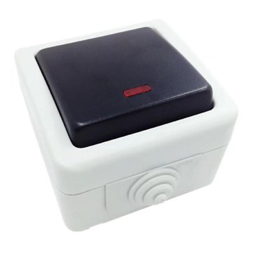 Aigostar - Interruptor bipolar con luz