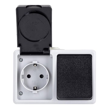 Aigostar - Interruptor exterior 1P con enchufe 1x16A/250V IP54