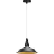 Aigostar - Lámpara colgante 1xE27/60W/230V negro