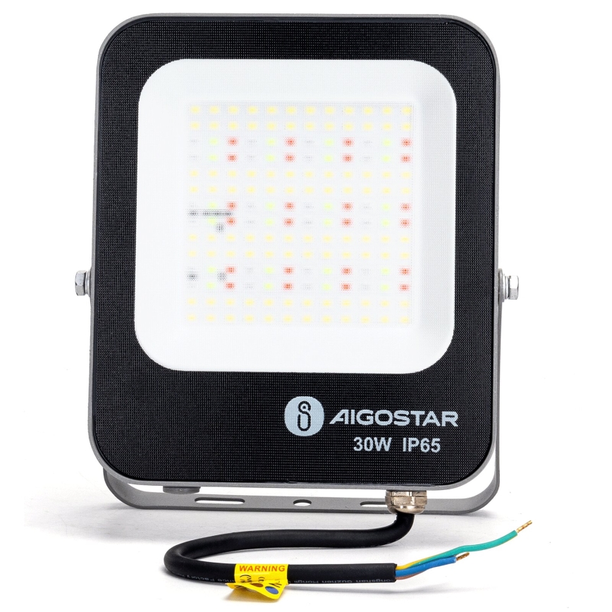 Aigostar - LED RGBW Proyector regulable MESH Inteligente LED/30W/230V 6500K IP65 + control remoto