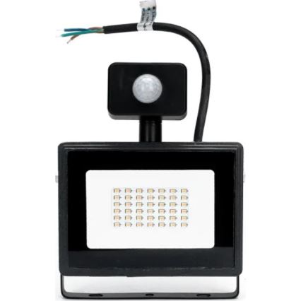 Aigostar - Proyector LED con sensor LED/50W/230V 4000K IP65 negro