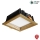 APLED - Lámpara empotrable LED SQUARE WOODLINE LED/6W/230V 4000K 12x12 cm roble madera maciza