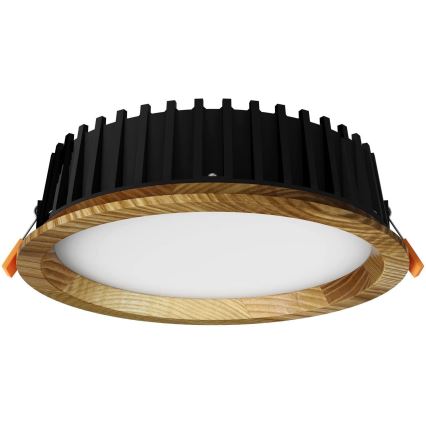 APLED - Lámpara empotrable LED RONDO WOODLINE LED/6W/230V 3000K diá. 15 cm ceniza madera maciza