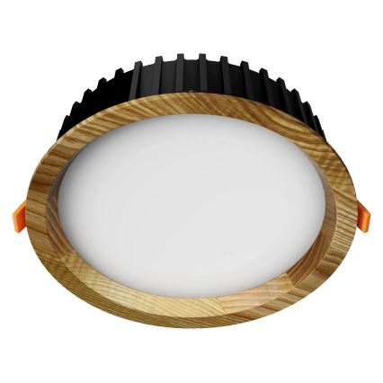 APLED - Lámpara empotrable LED RONDO WOODLINE LED/6W/230V 3000K diá. 15 cm ceniza madera maciza