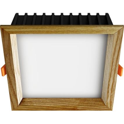 APLED - Lámpara empotrable LED SQUARE WOODLINE LED/12W/230V 3000K 17x17 cm ceniza madera maciza