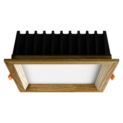 APLED - Lámpara empotrable LED SQUARE WOODLINE LED/12W/230V 3000K 17x17 cm ceniza madera maciza