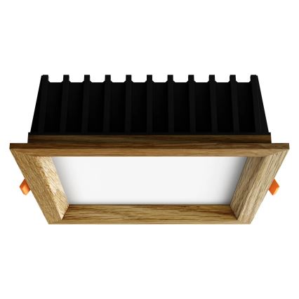 APLED - Lámpara empotrable LED SQUARE WOODLINE LED/12W/230V 4000K 17x17 cm roble madera maciza