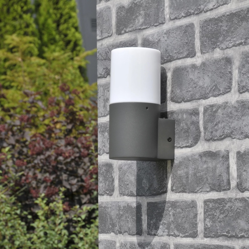 Aplique de exterior DALLAS 1xE27/12W/230V IP44 antracita