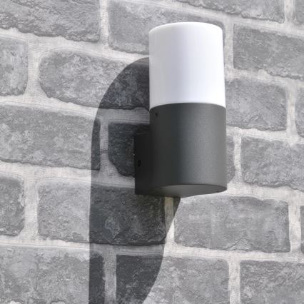 Aplique de exterior DALLAS 1xE27/12W/230V IP44 antracita