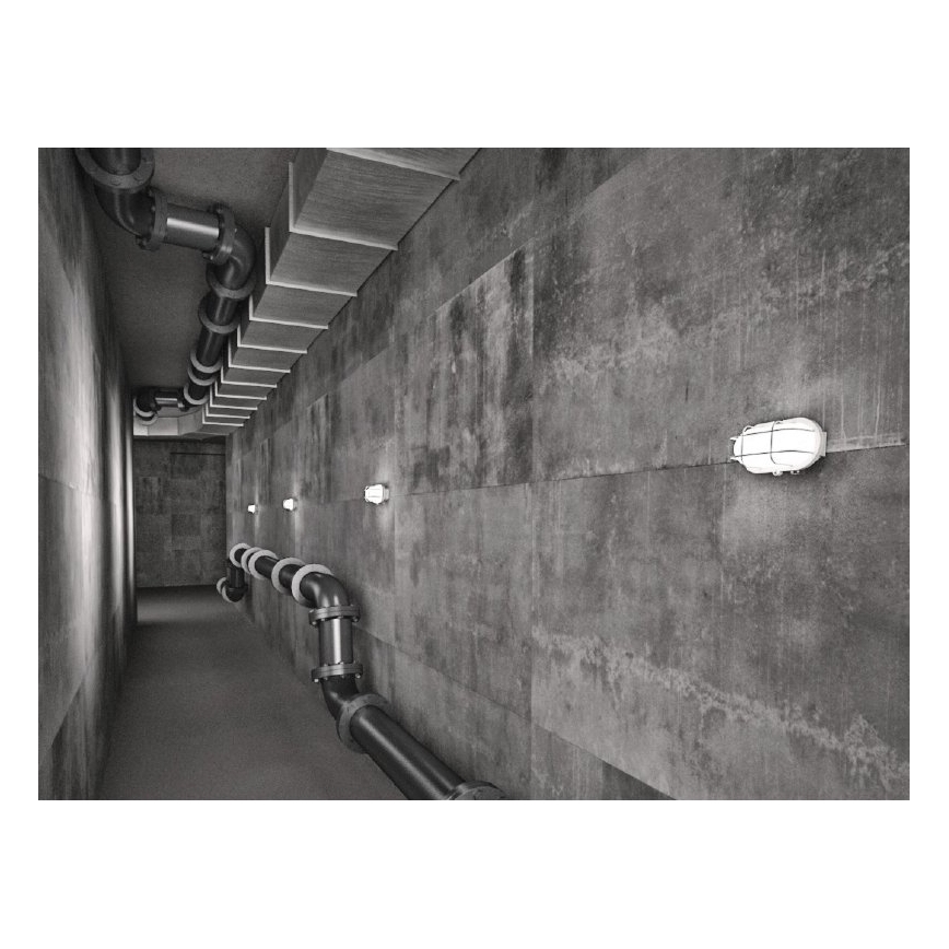 Aplique exterior OVAL 1xE27/60W/230V blanco IP44