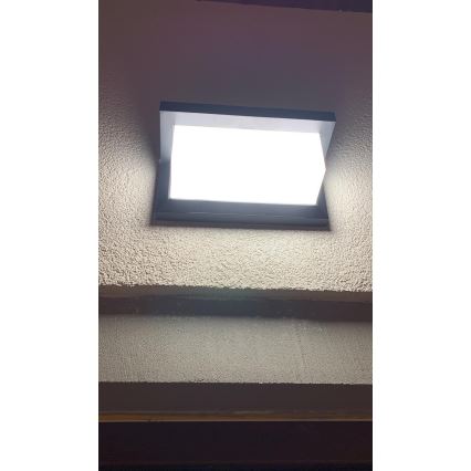 Aplique LED de exterior con sensor LED/12W/230V IP54 negro