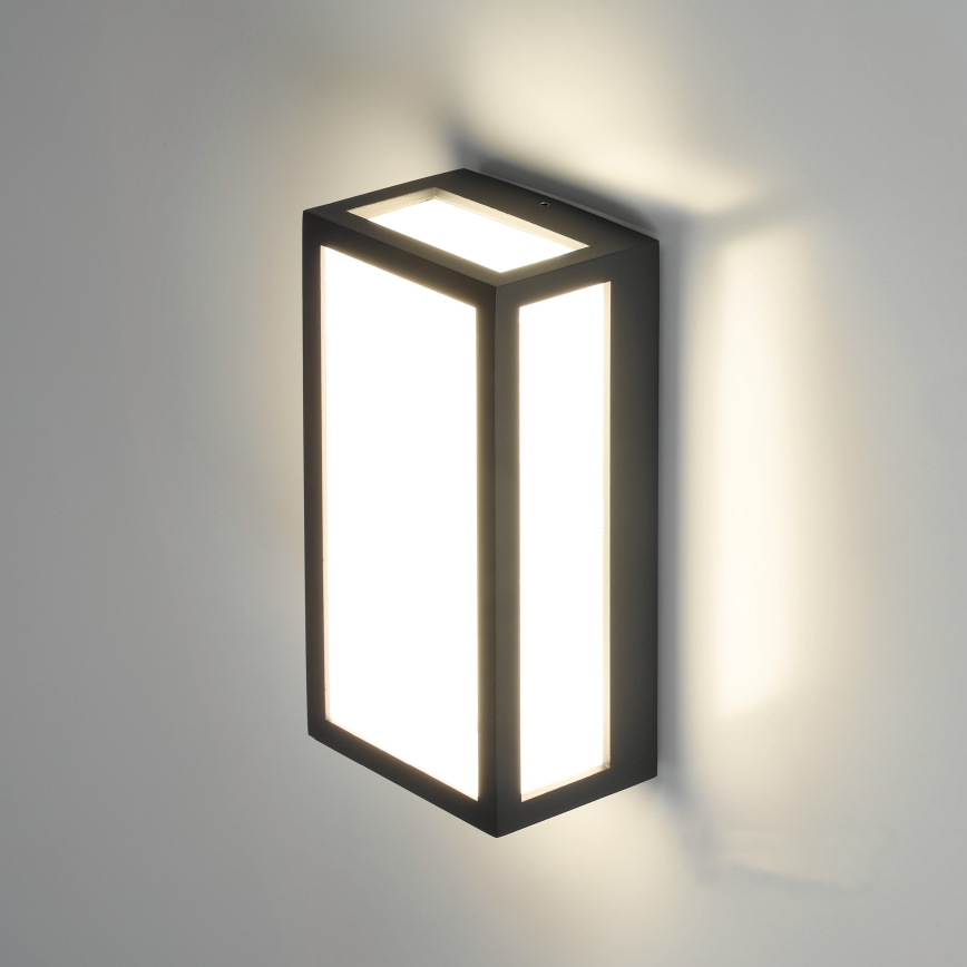 Aplique LED de exterior ENTERA LED/10W/230V 4000K IP54