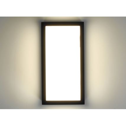 Aplique LED de exterior ENTERA LED/10W/230V 4000K IP54