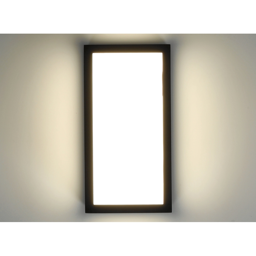 Aplique LED de exterior ENTERA LED/10W/230V 4000K IP54