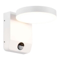 Aplique LED flexible de exterior con sensor LED/17W/230V IP65 4000K blanco