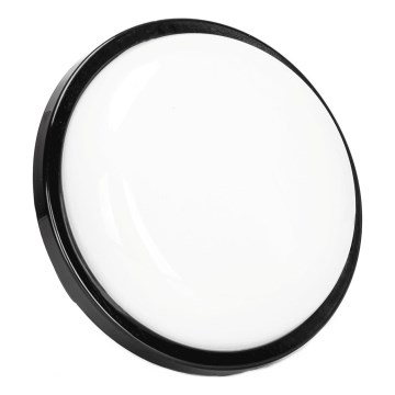 Aplique LED para exterior LED/15W/230V 6500K diá. 15,5 cm negro IP65