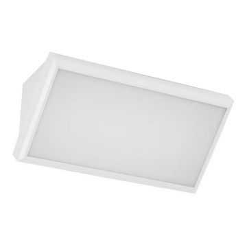 Aplique LED para exterior LED/20W/230V 4000K IP65 blanco