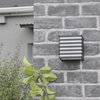 Aplique LED para exterior MAXWELL LED/10W/230V IP54 grafito