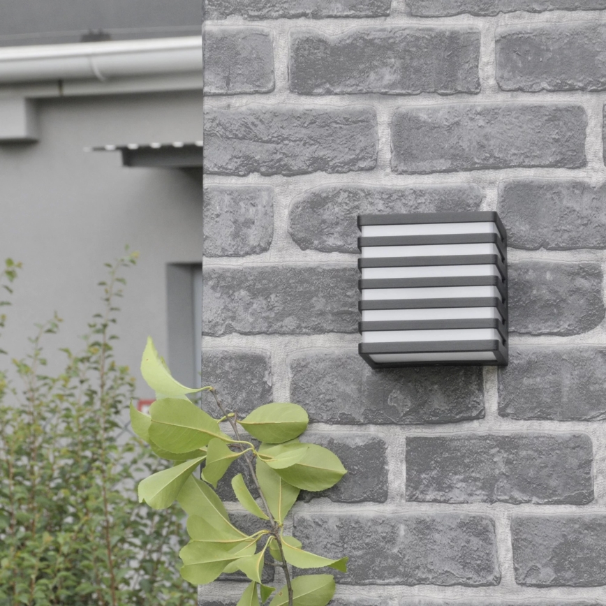 Aplique LED para exterior MAXWELL LED/10W/230V IP54 grafito
