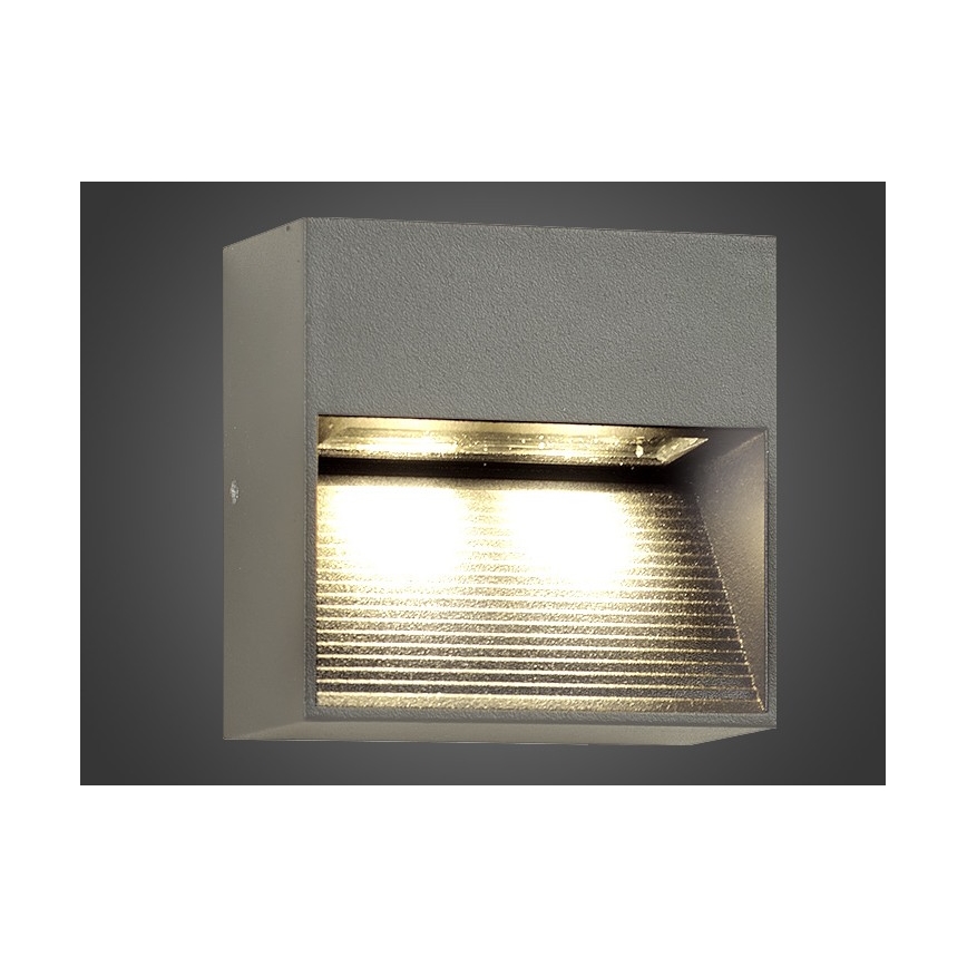 Aplique LED para exterior NINION LED/2W/230V IP54