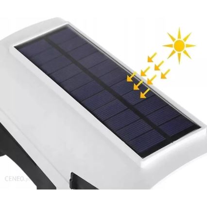 Cámara de seguridad falsa solar LED con sensor KAMERA LED/1W/3,7V 1200 mAh IP44 + mando a distancia