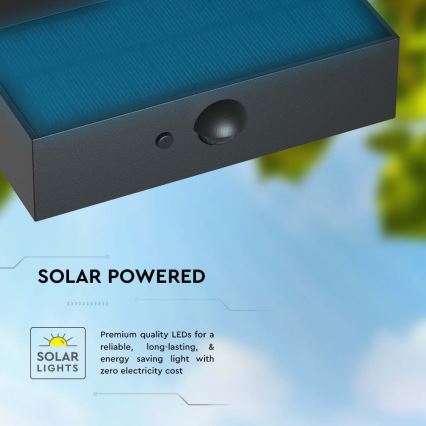 Aplique LED solar con sensor LED/3W/3,7V 3000K/4000K IP65 1200 mAh negro