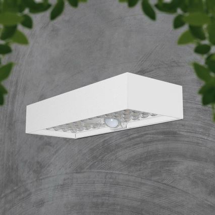 Aplique LED solar con sensor LED/6W/3,7V IP65 4000K 3000 mAh blanco