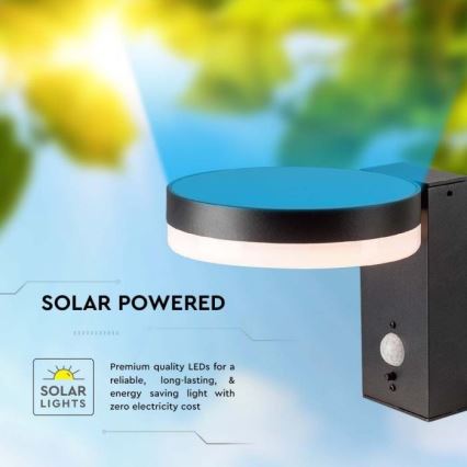 Aplique solar LED de pared para exterior con sensor LED/5,5W/3,7V 3000K IP54 2000 mAh