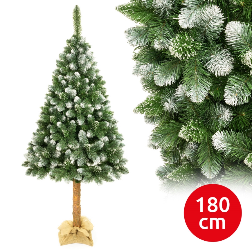 Árbol de Navidad en un tronco de 180 cm pino