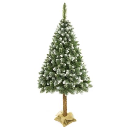 Árbol de Navidad en un tronco de 180 cm pino