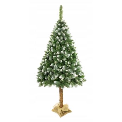 Árbol de Navidad en un tronco de pino 220 cm