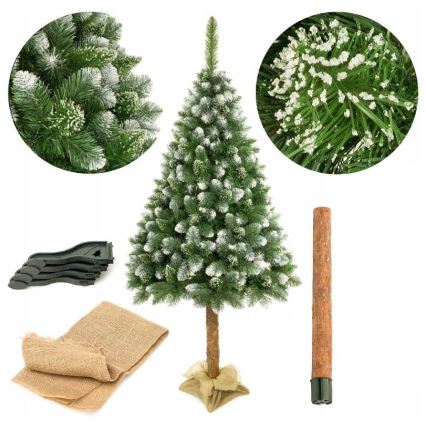 Árbol de Navidad en un tronco de pino 220 cm