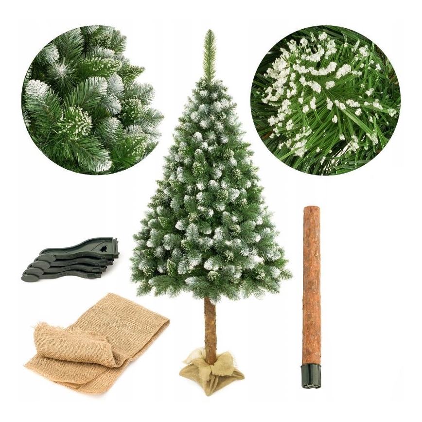 Árbol de Navidad en un tronco de pino 220 cm