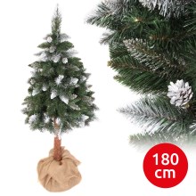 Árbol de Navidad PIN 180 cm pino