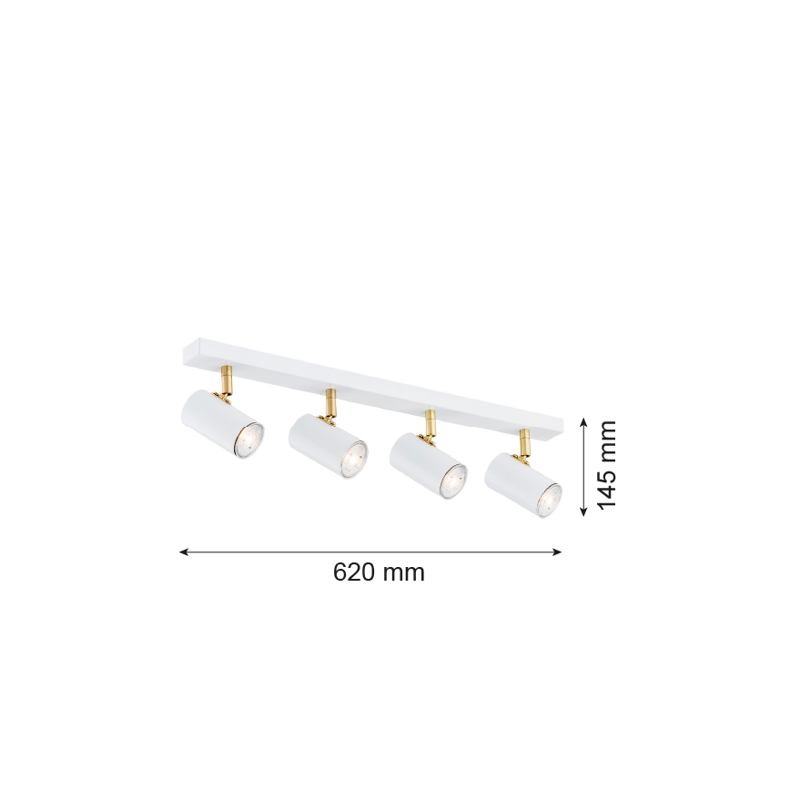 Argon 1689 - Foco LAGOS 4xGU10/5W/230V blanco/dorado