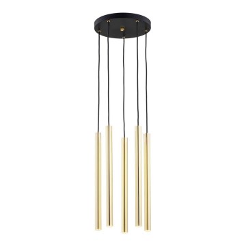Argon 2109 - Lámpara LED colgante SICILIA 5xLED/4,5W/230V