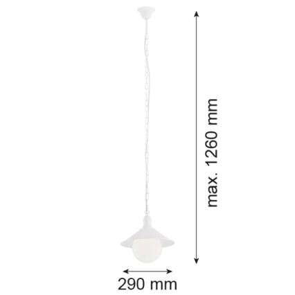 Argon 3296 - Lámpara colgante exterior ERBA BIS 1xE27/60W/230V