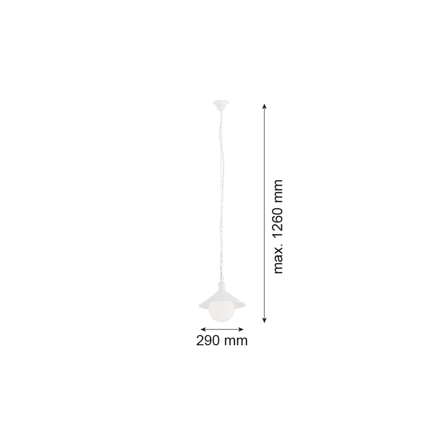 Argon 3296 - Lámpara colgante exterior ERBA BIS 1xE27/60W/230V