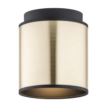 Argon 4247 - Lámpara de techo HERMAN 1xE27/15W/230V bronce/negro