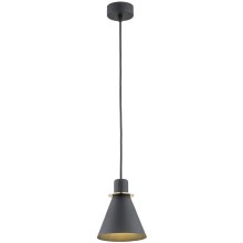 Argon 4687 - Lámpara colgante BEVERLY 1xE27/15W/230V negro/dorado