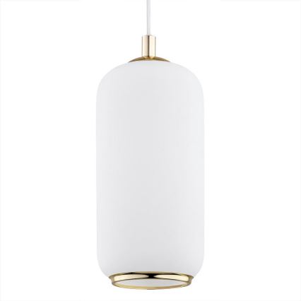 Argon 4993 - Lámpara colgante PALLADO 1xE27/15W/230V dorado/blanco