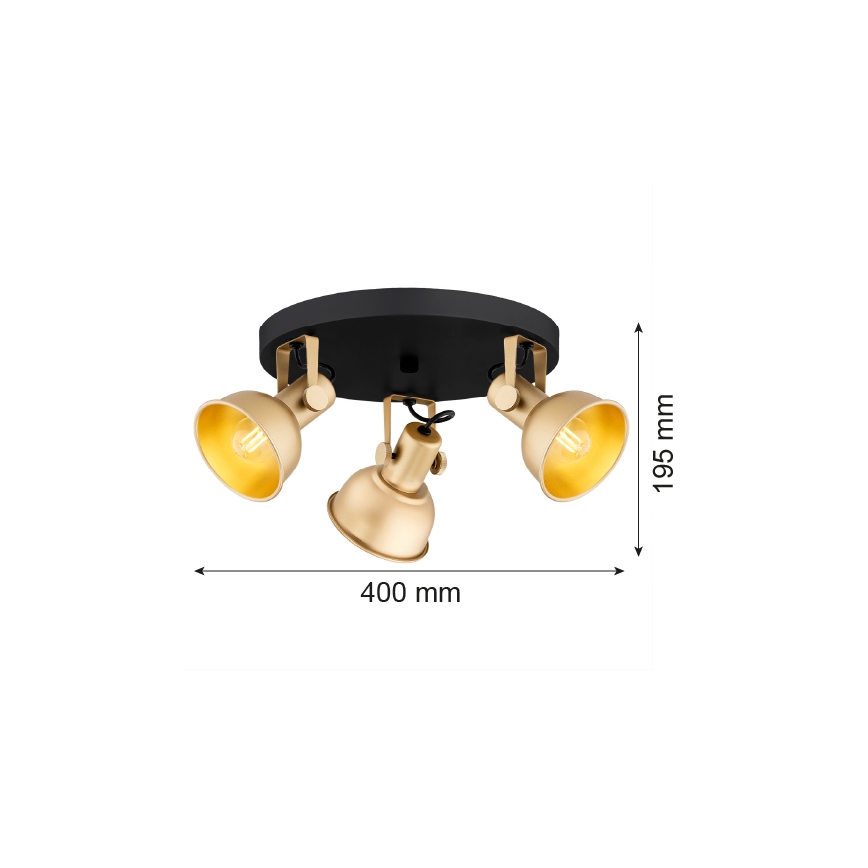 Argon 6243 - Foco LENORA 3xE14/7W/230V dorado/negro