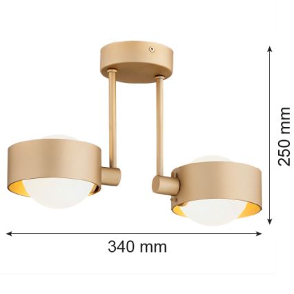 Argon 7215 - Lámpara colgante de baño MASSIMO PLUS 2xG9/6W/230V IP44 dorado