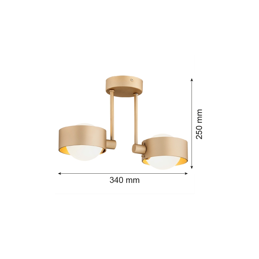 Argon 7215 - Lámpara colgante de baño MASSIMO PLUS 2xG9/6W/230V IP44 dorado